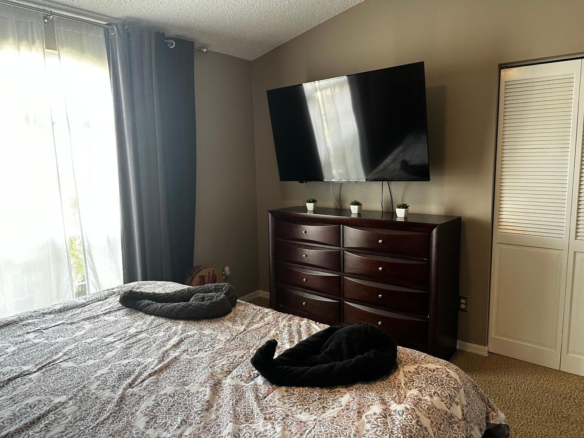 Cozy 3 Bedroom Home Close To Everything In Tampa! Ngoại thất bức ảnh