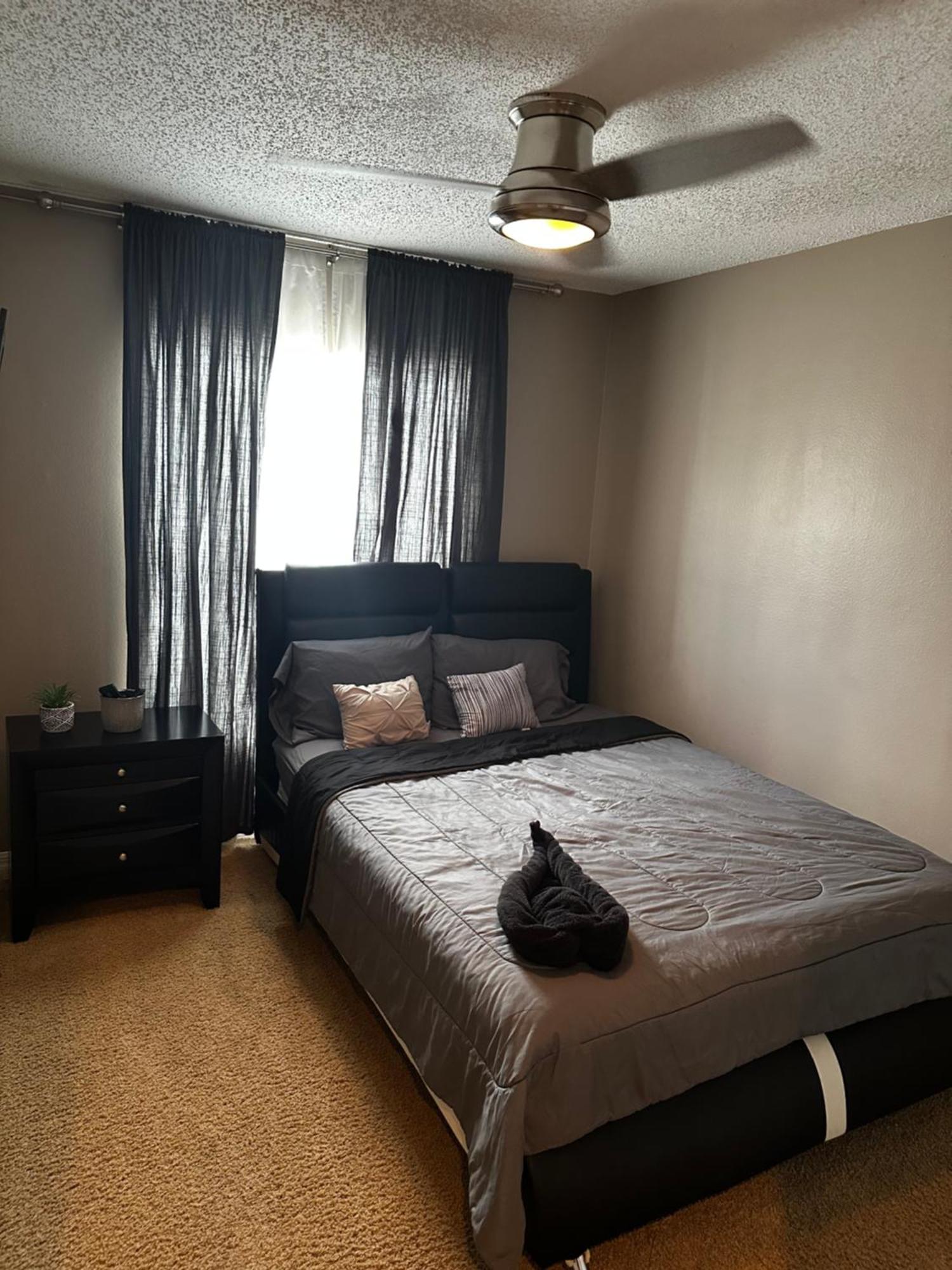 Cozy 3 Bedroom Home Close To Everything In Tampa! Ngoại thất bức ảnh